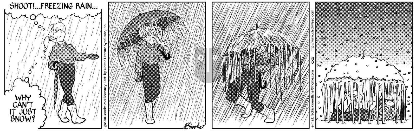 9 Chickweed Lane - Thursday December 21, 2000 Comic Strip