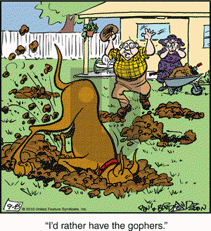 Marmaduke on Wednesday September 8, 2010 Comic Strip