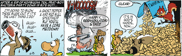 Over the Hedge on Friday June 8, 2018 Comic Strip