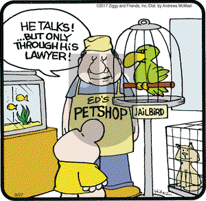 Ziggy on Wednesday September 27, 2017 Comic Strip