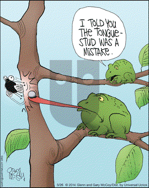 The Flying McCoys on Wednesday March 26, 2014 Comic Strip