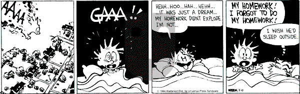 Calvin and Hobbes - Thursday March 10, 1994 Comic Strip