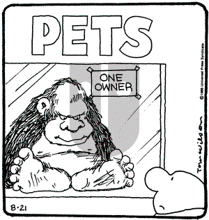 Ziggy on Thursday August 21, 1986 Comic Strip