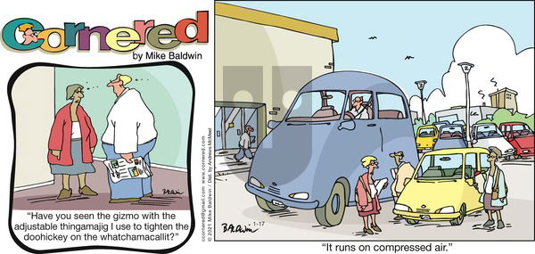 Cornered on Sunday January 17, 2021 Comic Strip