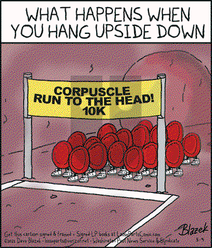 Loose Parts - Tuesday May 4, 2021 Comic Strip