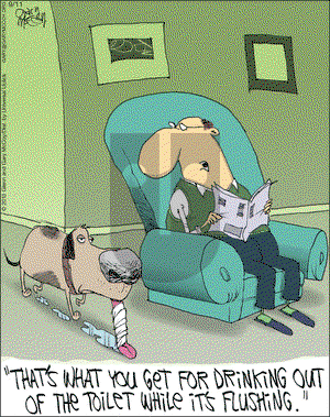 The Flying McCoys on Wednesday September 11, 2013 Comic Strip