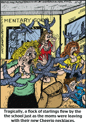 Close to Home on Friday November 2, 2018 Comic Strip