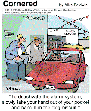 Cornered on Friday April 20, 2018 Comic Strip