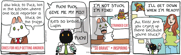 Breaking Cat News on Saturday July 15, 2017 Comic Strip