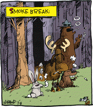 Reality Check on Tuesday July 8, 2014 Comic Strip