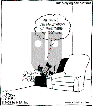 Kit 'N' Carlyle on Saturday February 2, 2008 Comic Strip