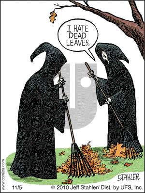 Moderately Confused on Friday November 5, 2010 Comic Strip