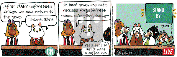 Breaking Cat News on Saturday April 13, 2019 Comic Strip