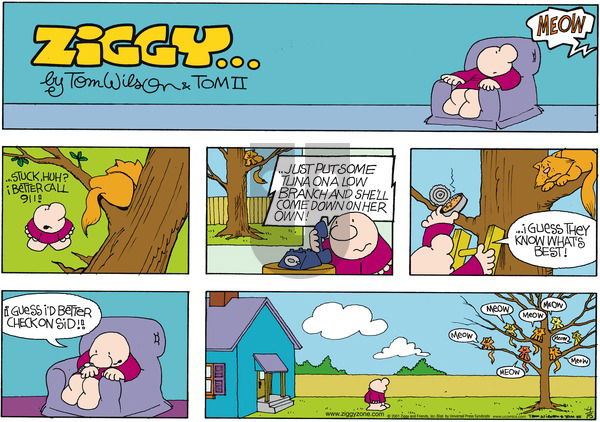 Ziggy on Sunday April 15, 2001 Comic Strip