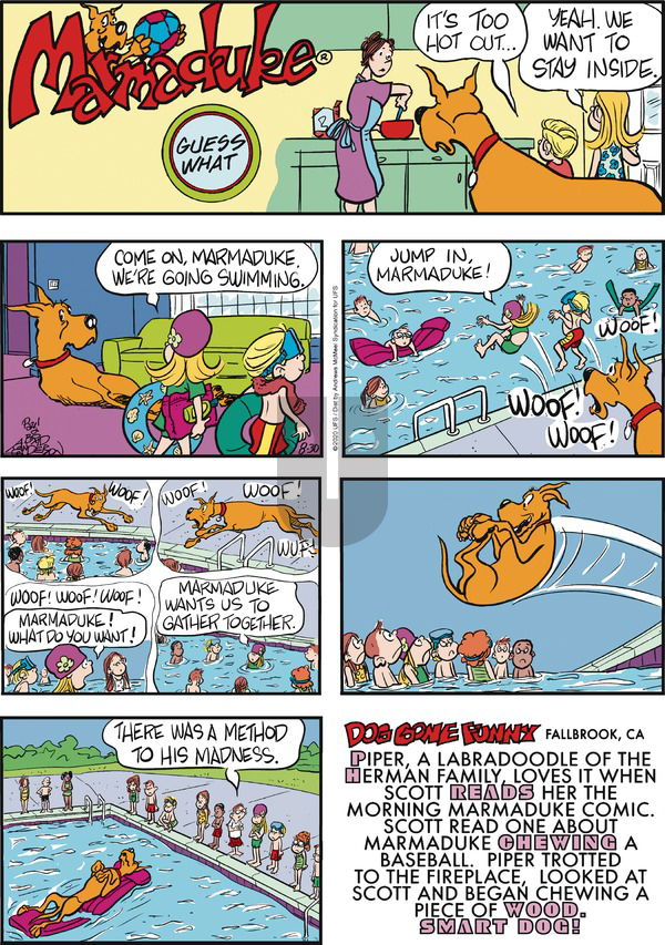 Marmaduke on Sunday August 30, 2020 Comic Strip