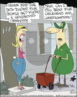 The Flying McCoys on Tuesday March 25, 2025 Comic Strip