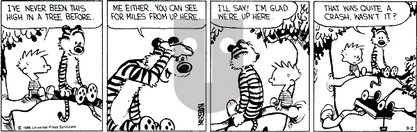 Calvin and Hobbes - Monday September 2, 1991 Comic Strip