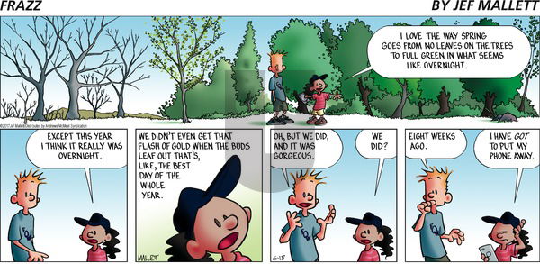 Frazz on Sunday June 18, 2017 Comic Strip