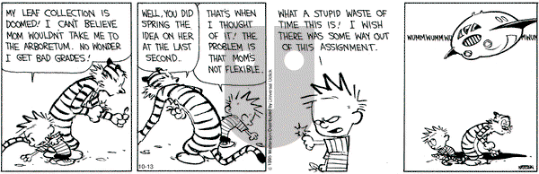 Calvin and Hobbes on Tuesday October 13, 2015 Comic Strip
