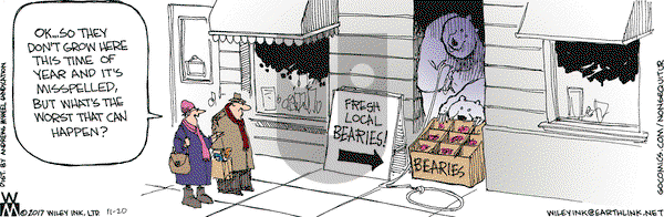 Non Sequitur on Monday November 20, 2017 Comic Strip