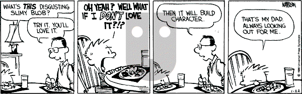 Calvin and Hobbes - Wednesday January 22, 1986 Comic Strip