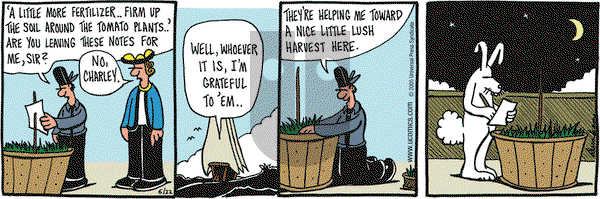Overboard on Wednesday June 22, 2005 Comic Strip