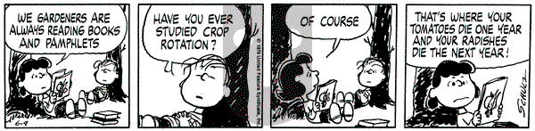 Peanuts on Saturday June 9, 1979 Comic Strip