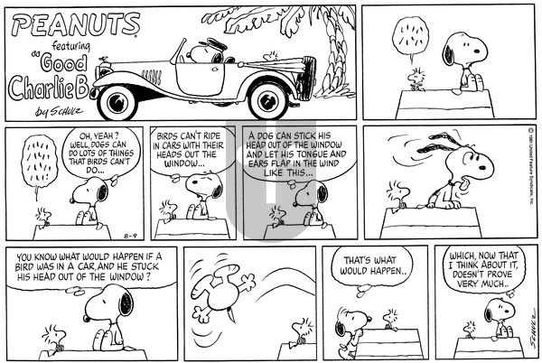 Peanuts on Sunday August 9, 1981 Comic Strip