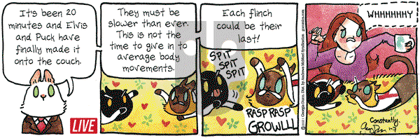 Breaking Cat News on Thursday January 7, 2021 Comic Strip