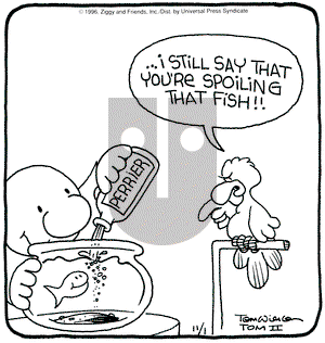 Ziggy on Friday November 1, 1996 Comic Strip