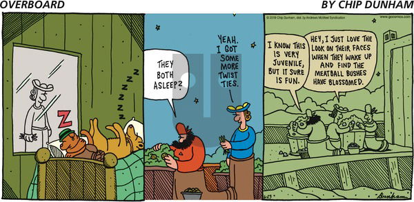 Overboard on Sunday June 23, 2019 Comic Strip