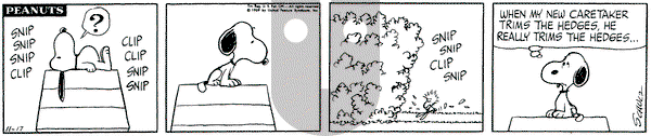 Peanuts on Monday November 17, 1969 Comic Strip