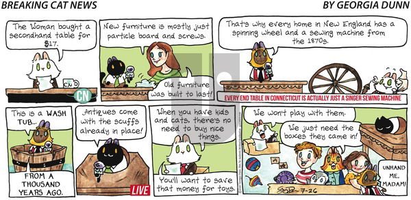 Breaking Cat News on Sunday July 26, 2020 Comic Strip