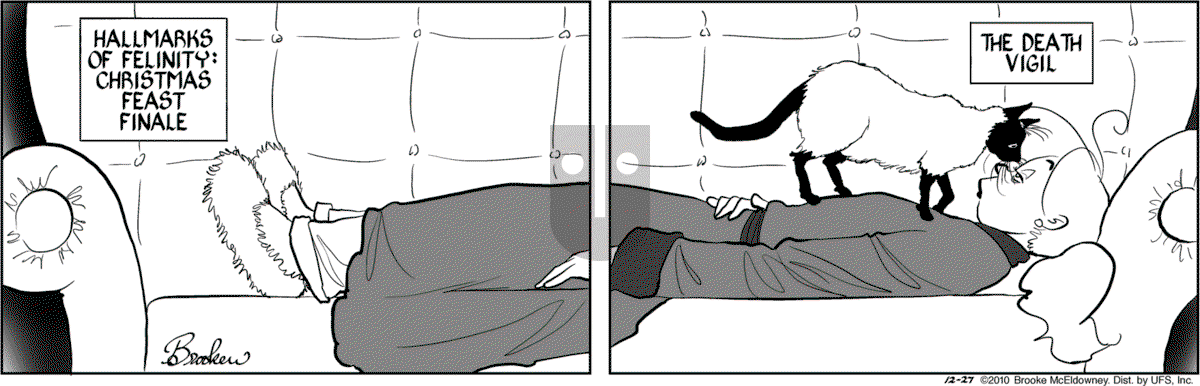 9 Chickweed Lane - Monday December 27, 2010 Comic Strip