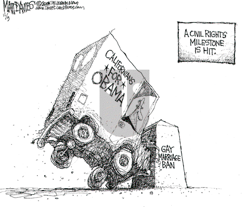 Matt Davies on Monday November 10, 2008 Comic Strip