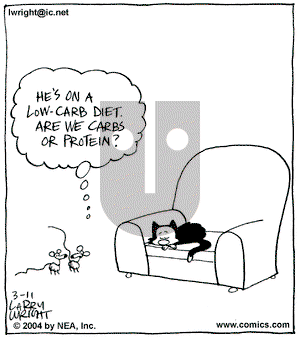 Kit 'N' Carlyle on Thursday March 11, 2004 Comic Strip