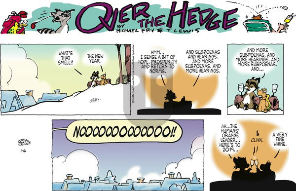 Over the Hedge on Sunday January 6, 2019 Comic Strip