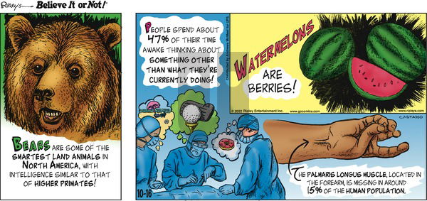 Ripley's Believe It or Not - Sunday October 16, 2022 Comic Strip