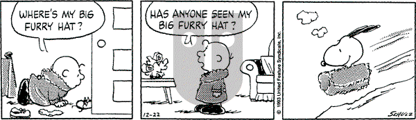 Peanuts - Wednesday December 22, 1993 Comic Strip
