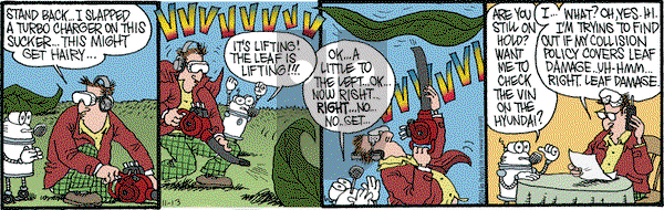 Monty on Thursday November 13, 2014 Comic Strip