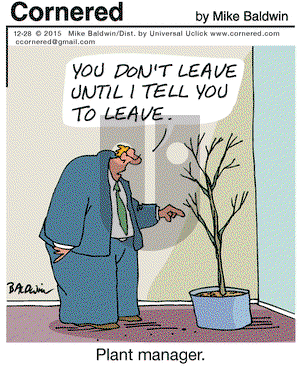 Cornered - Monday December 28, 2015 Comic Strip