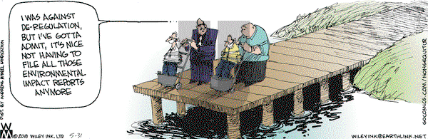 Non Sequitur on Thursday May 31, 2018 Comic Strip