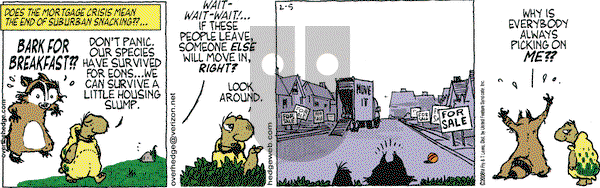Over the Hedge on Tuesday February 5, 2008 Comic Strip