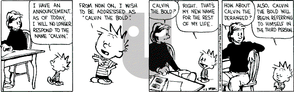 Calvin and Hobbes - Monday April 8, 1991 Comic Strip