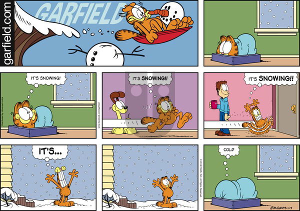 Garfield on Sunday January 17, 2016 Comic Strip