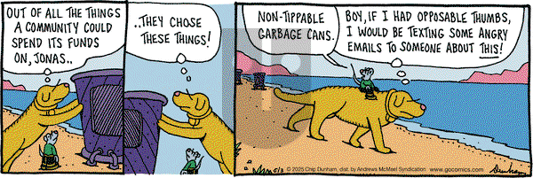 Overboard on Tuesday June 3, 2025 Comic Strip