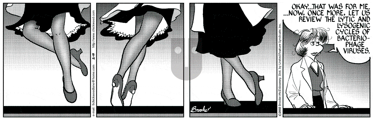 9 Chickweed Lane - Tuesday February 19, 2002 Comic Strip