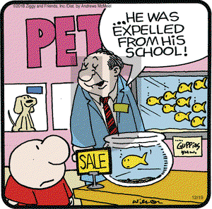 Ziggy on Wednesday December 19, 2018 Comic Strip