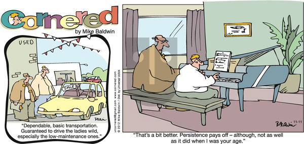 Cornered on Sunday November 11, 2012 Comic Strip
