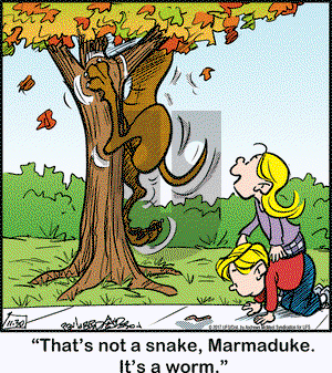 Marmaduke on Thursday November 30, 2017 Comic Strip